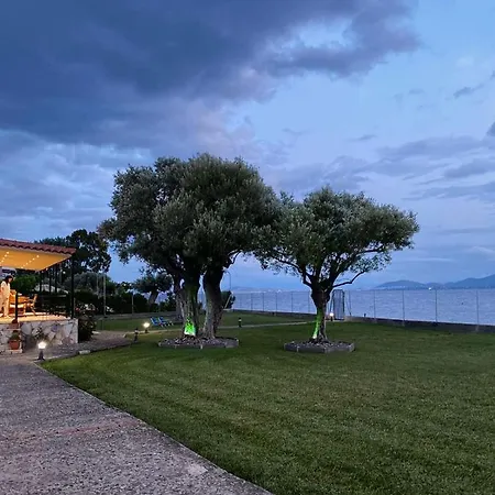 Vila Luxury Skala (Evia)