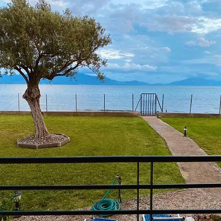 Luxury Vila