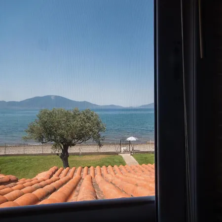 Vila Luxury *